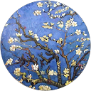 Alexa Monroy profile picture