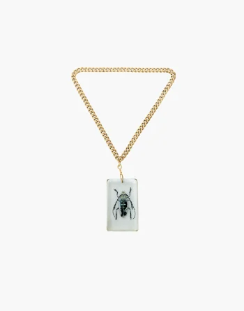 Asian Longhorn Beetle In Resin