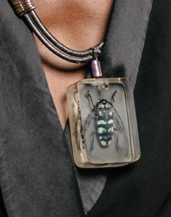 Asian Longhorn Beetle In Resin - Brass