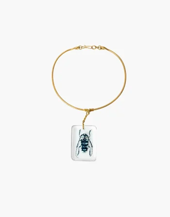 Asian Longhorn Beetle In Resin - Brass
