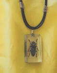 Asian Longhorn Beetle In Resin