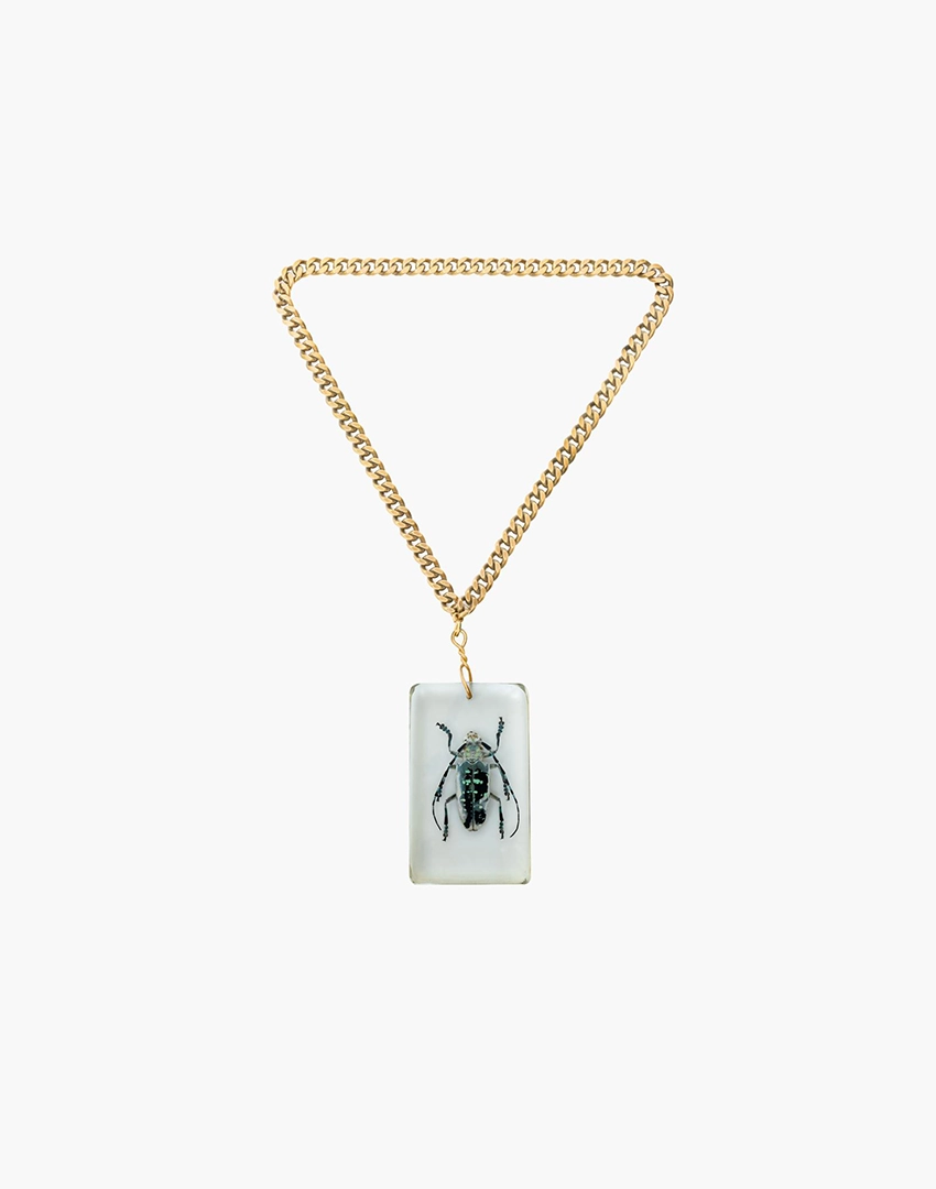 Asian Longhorn Beetle In Resin Asian Longhorn Beetle In Resin