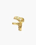 Brass T-Rex Dinosaur Skull Fossil Ring – Jurassic