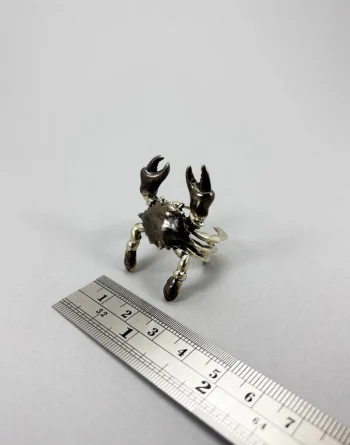 Cancer Crab - Brass Ring