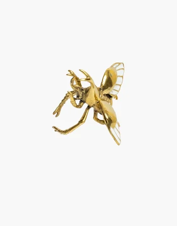 Flying Rhino Beetle Ring