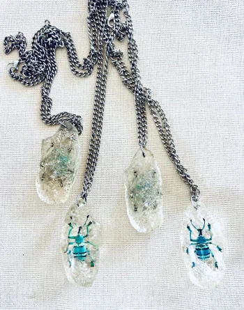 Jewel Beetle in Clear Resin