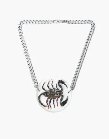 Scorpion in Clear Resin