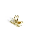 Spider Ring – Brass Cntr