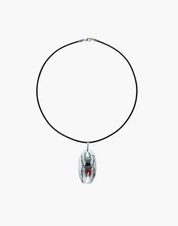 Stag Beetle in Clear Resin