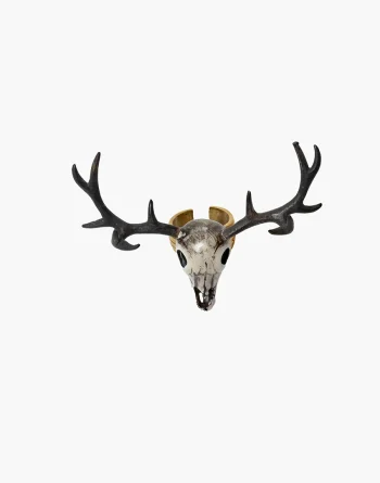 Stag Skull Ring - Realistic Bone Look
