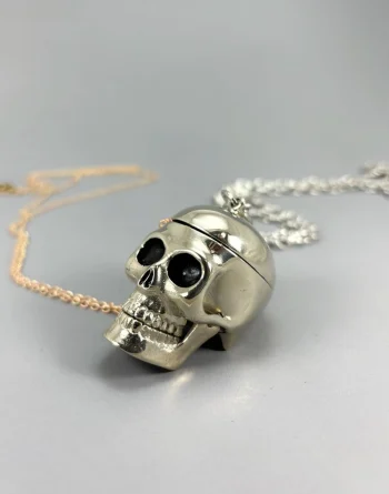 White Bronze Skull And Golden Brass Brain Pendant In Brass